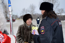 Ежегодная всероссийская акция «Полицейский Дед Мороз»