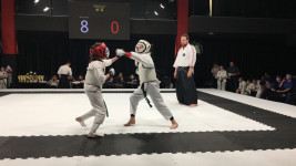 Новые высоты каратэ