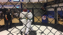 Турнир по каратэ и боевым единоборствам