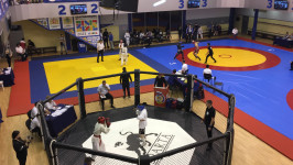 Турнир по каратэ и боевым единоборствам