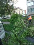 Все коммунальные службы города, начиная с прошедшего вечера, занимаются ликвидацией последствий шквалистого ветра