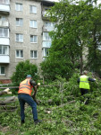 Все коммунальные службы города, начиная с прошедшего вечера, занимаются ликвидацией последствий шквалистого ветра