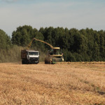 В Ирбитском районе стартовала уборочная кампания