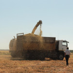 В Ирбитском районе стартовала уборочная кампания