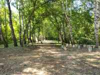 Возрождение Парка 40-летия комсомола