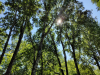 Возрождение Парка 40-летия комсомола