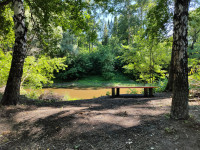 Возрождение Парка 40-летия комсомола