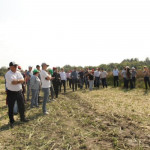 День кукурузного поля в Ирбитском районе