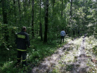 Полиция Ирбита разыскивает пропавшего грибника