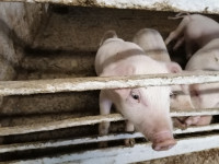 В Ирбите вынесен приговор в деле про коррупцию