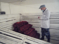 В СИЗО-2 началась приемка овощей для питания подозреваемых, обвиняемых и осужденных