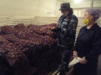 В СИЗО-2 началась приемка овощей для питания подозреваемых, обвиняемых и осужденных