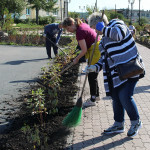 Осенний субботник в спортивном парке отдыха поселка Пионерский