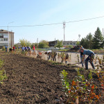 Осенний субботник в спортивном парке отдыха поселка Пионерский