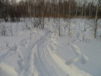 Ирбитскими полицейскими окончено расследование уголовного дела о незаконной охоте. Материалы направлены суд