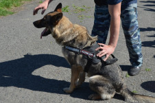 Полиция Ирбита продолжает мероприятия, посвященные Дню защиты детей