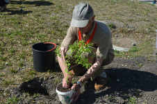 В Ирбите ветераны МВД приняли участие в социальной акции, посвященной Дню защиты детей