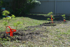 В Ирбите ветераны МВД приняли участие в социальной акции, посвященной Дню защиты детей
