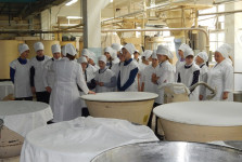 Семиклассники школы №13 узнали, как рождается Ирбитский хлеб 