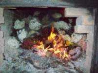 В аэропорту "Кольцово" сожгли более 1000 срезов цветов