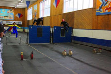 В шаге от пьедестала