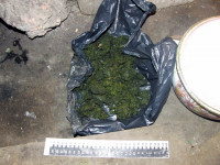 У троих жителей Ирбита изъято 740 граммов наркотических средств