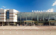 Результаты работы отдела карантинного фитосанитарного контроля в пункте пропуска «Аэропорт Кольцово»