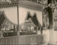 Старый парк