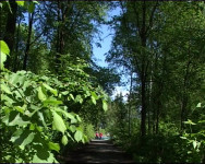 Старый парк