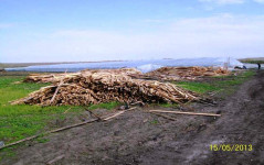 О проверке тепличных предприятий