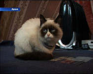 Внимание, специалисты предупреждают