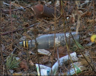 Чистая роща