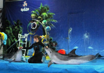 С Черноморского побережья вернулась группа ребят из тринадцатой школы