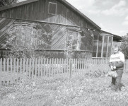 Укрощение строптивых