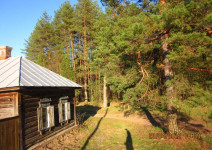 Обращение администрации города к собственникам жилых домов, расположенных рядом с лесом