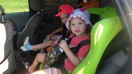 14 нарушителей ПДД за 2 часа