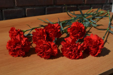 В Ирбите почтили память почетного гражданина города и начальника ГАИ В.Ф.Манжарова