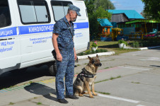 Сотрудники ОВД Ирбита познакомили детсадовцев с профессией полицейского