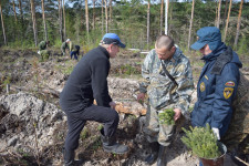Ирбитские пожарные приняли участие в высадке леса