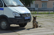 В Ирбите сотрудники полиции провели мероприятие «Безопасные каникулы»