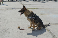 В Ирбите сотрудники полиции провели мероприятие «Безопасные каникулы»