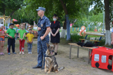 В Ирбите прошел парад кинологов