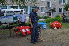 В Ирбите прошел парад кинологов