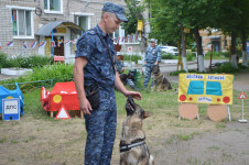 В Ирбите прошел парад кинологов
