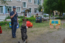 В Ирбите прошел парад кинологов