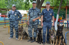 В Ирбите прошел парад кинологов