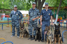 В Ирбите прошел парад кинологов