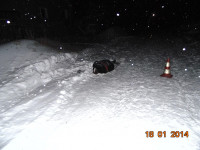 Полиция ищет очевидцев ДТП с погибшим