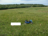 ДТП в деревне Кривая