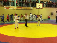 «Золото джиу-джитсу»